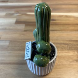 Fucktus Ensfarvet - hvid potte