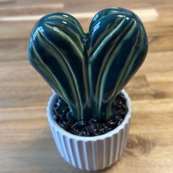 Lovetus 2 farvet - hvid potter