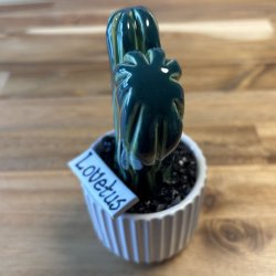 Lovetus 2 farvet - hvid potter