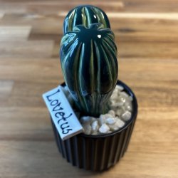 Lovetus 2 farvet - sort potter