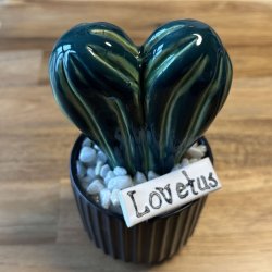 Lovetus 2 farvet - sort potter