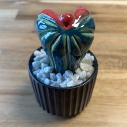 Pussytus 2 farvet - sort potte