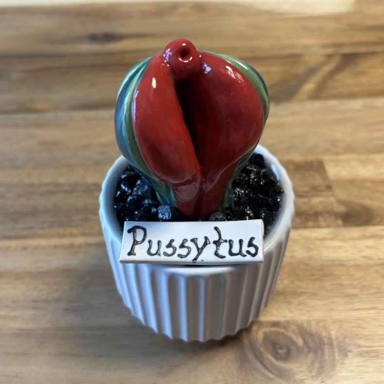 Pussytus 2 farvet - hvid potte