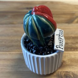 Pussytus 2 farvet - hvid potte