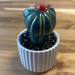 Pussytus 2 farvet - hvid potte