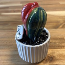 Pussytus 2 farvet - hvid potte