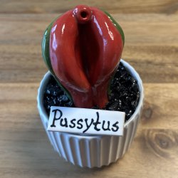 Pussytus 2 farvet - hvid potte