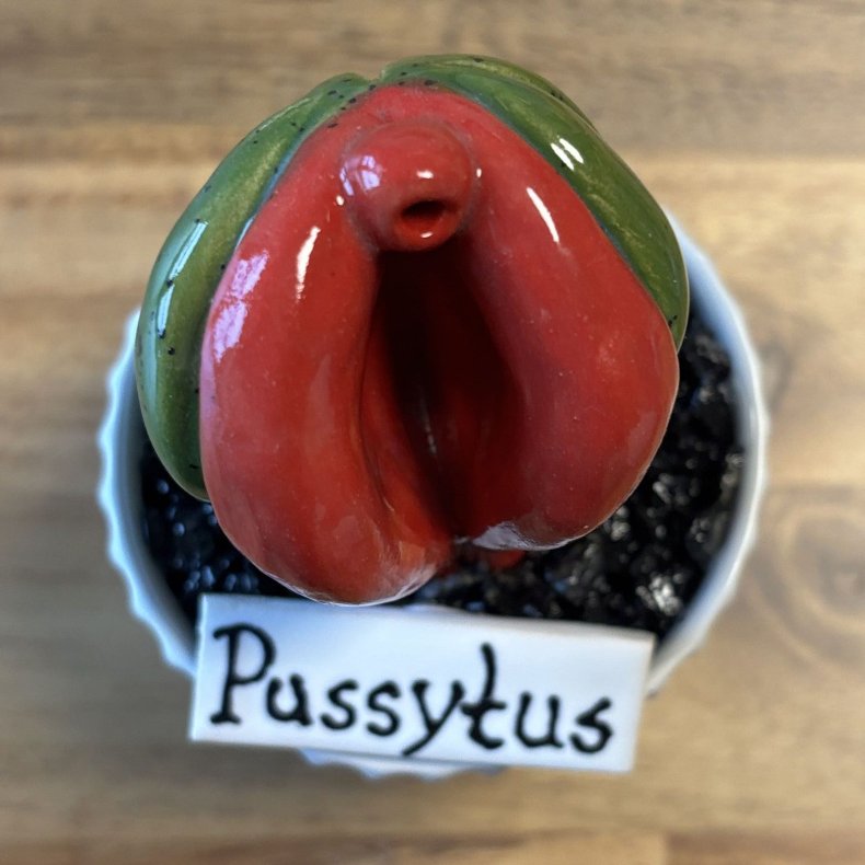 Pussytus Ensfarvet - hvid potte