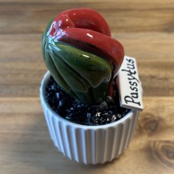 Pussytus Ensfarvet - hvid potte