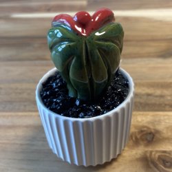 Pussytus Ensfarvet - hvid potte