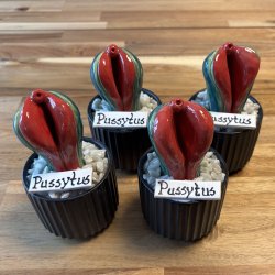 Pussytus 2 farvet - sort potte