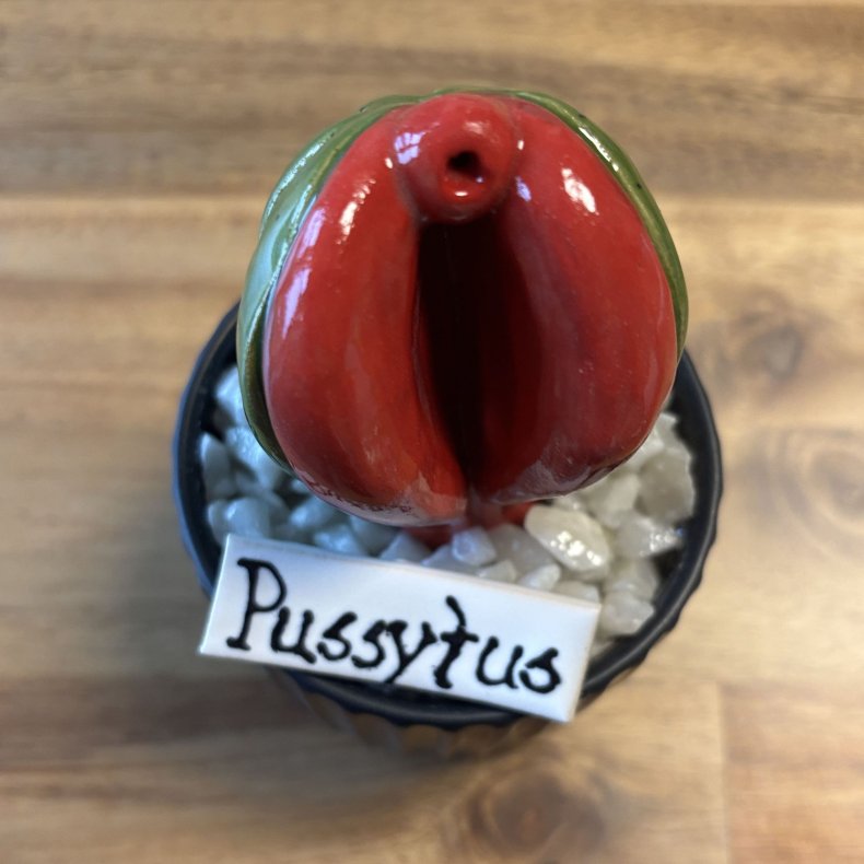 Pussytus Ensfarvet - sort potte