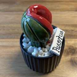 Pussytus Ensfarvet - sort potte