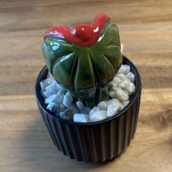 Pussytus Ensfarvet - sort potte