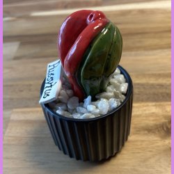 Pussytus Ensfarvet - sort potte