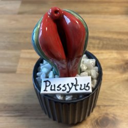 Pussytus 2 farvet - sort potte