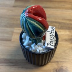 Pussytus 2 farvet - sort potte