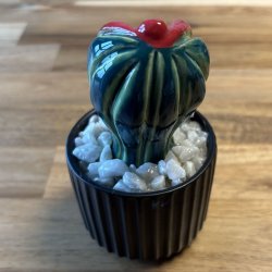 Pussytus 2 farvet - sort potte