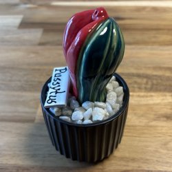 Pussytus 2 farvet - sort potte