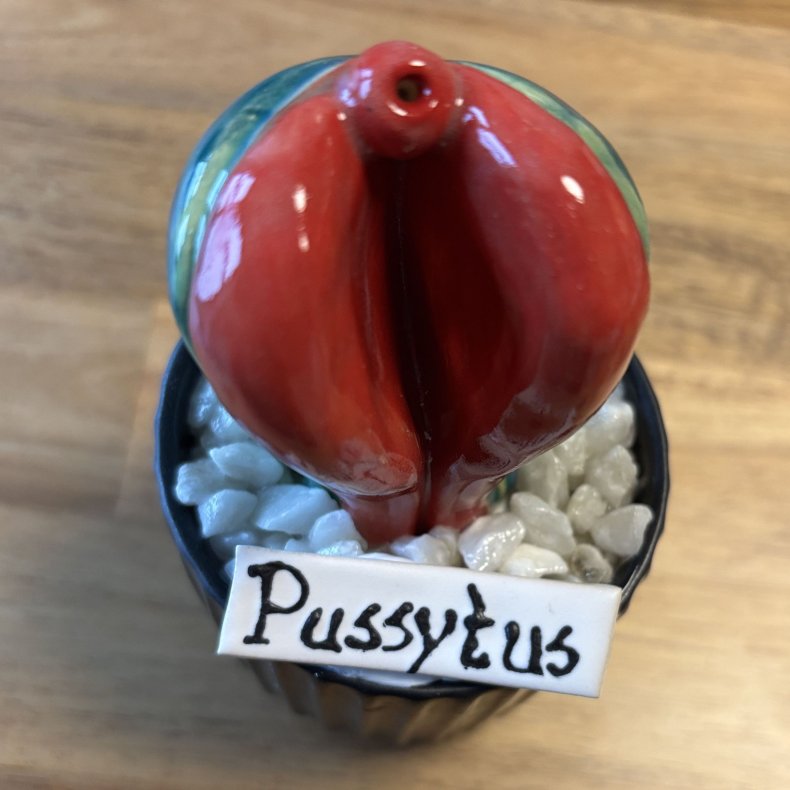 Pussytus 2 farvet - sort potte