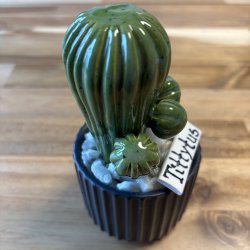 Tittytus enkeltfarvet- sort potte