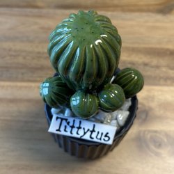 Tittytus enkeltfarvet- sort potte