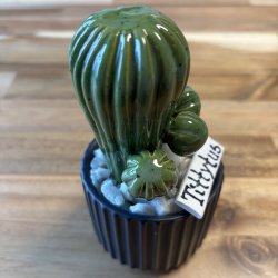 Tittytus enkeltfarvet- sort potte