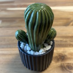 Tittytus enkeltfarvet- sort potte