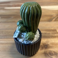 Tittytus enkeltfarvet- sort potte