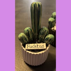 Fucktus 2-farvet - hvid potte