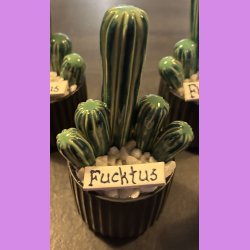 Fucktus 2-farvet - Sort potte