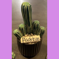 Fucktus 2-farvet - Sort potte