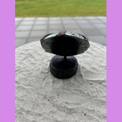 Viking Skjold "Harald"