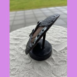 Viking Skjold "Harald"