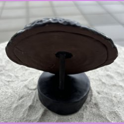 Viking Skjold "Harald"