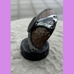 Viking Skjold "Leif"