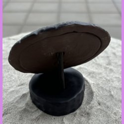 Viking Skjold "Asbjrn"