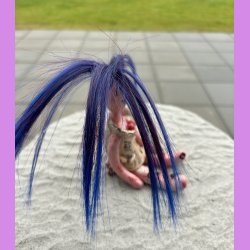 Voodoo dukken Miss Purple