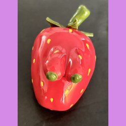 Jordb�r folket - Damer