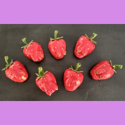 Jordb�r folket - Damer