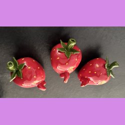 Jordb�r folket - Mand