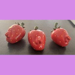 Jordb�r folket - Mand