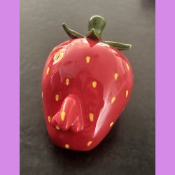 Jordb�r folket - Mand