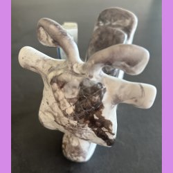 Knallert Hvid / gr med skilt - Dream