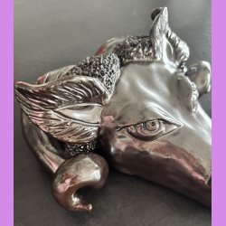V�dderhoved