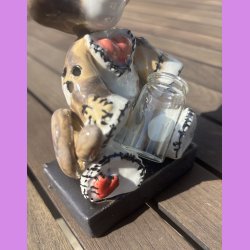 Voodoo Katten Misser